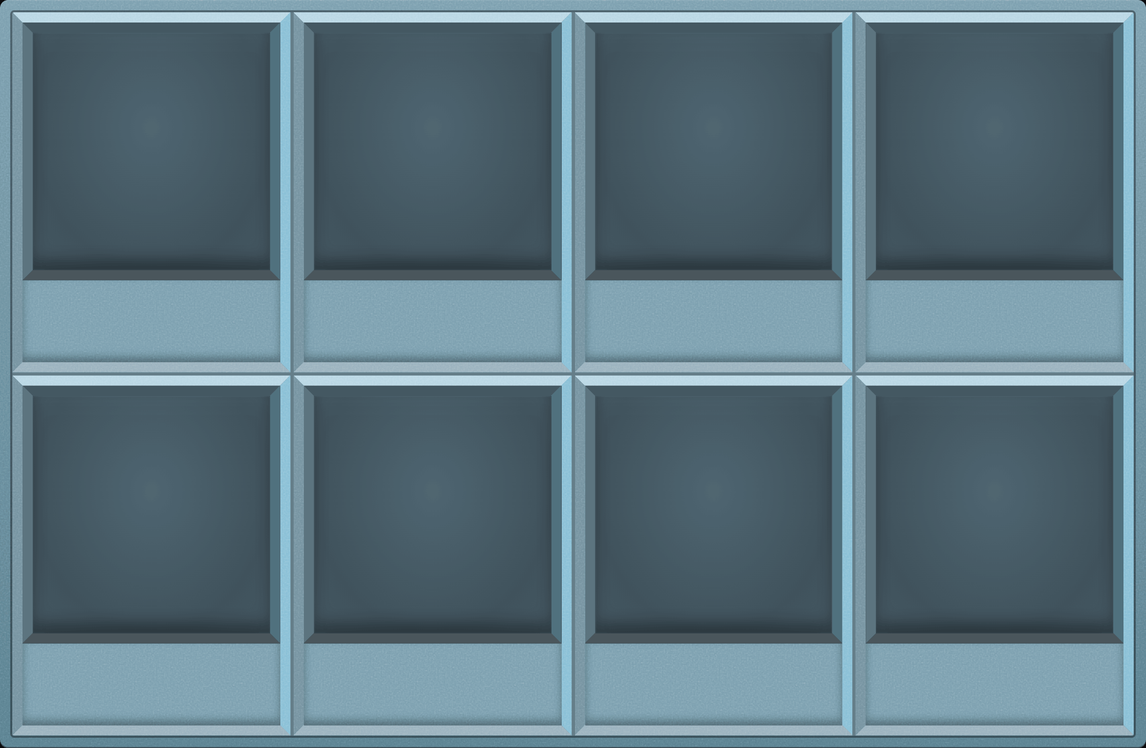 Arctic Ice Display Case (2x4)